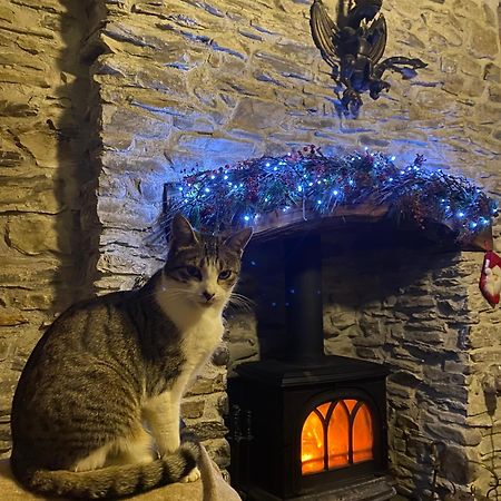 Five Saints Farmhouse B&B Pumpsaint Luaran gambar