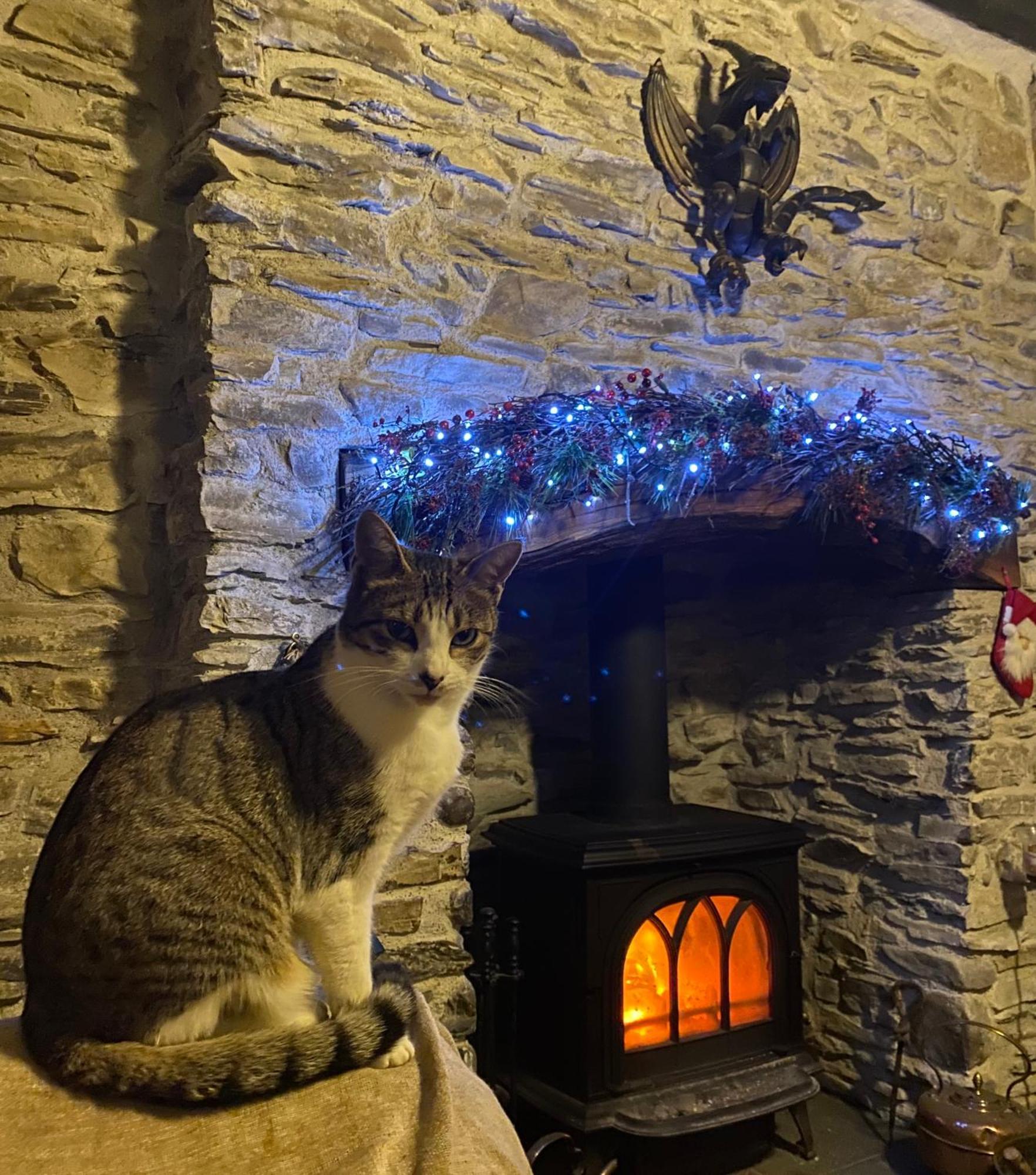Five Saints Farmhouse B&B Pumpsaint Luaran gambar