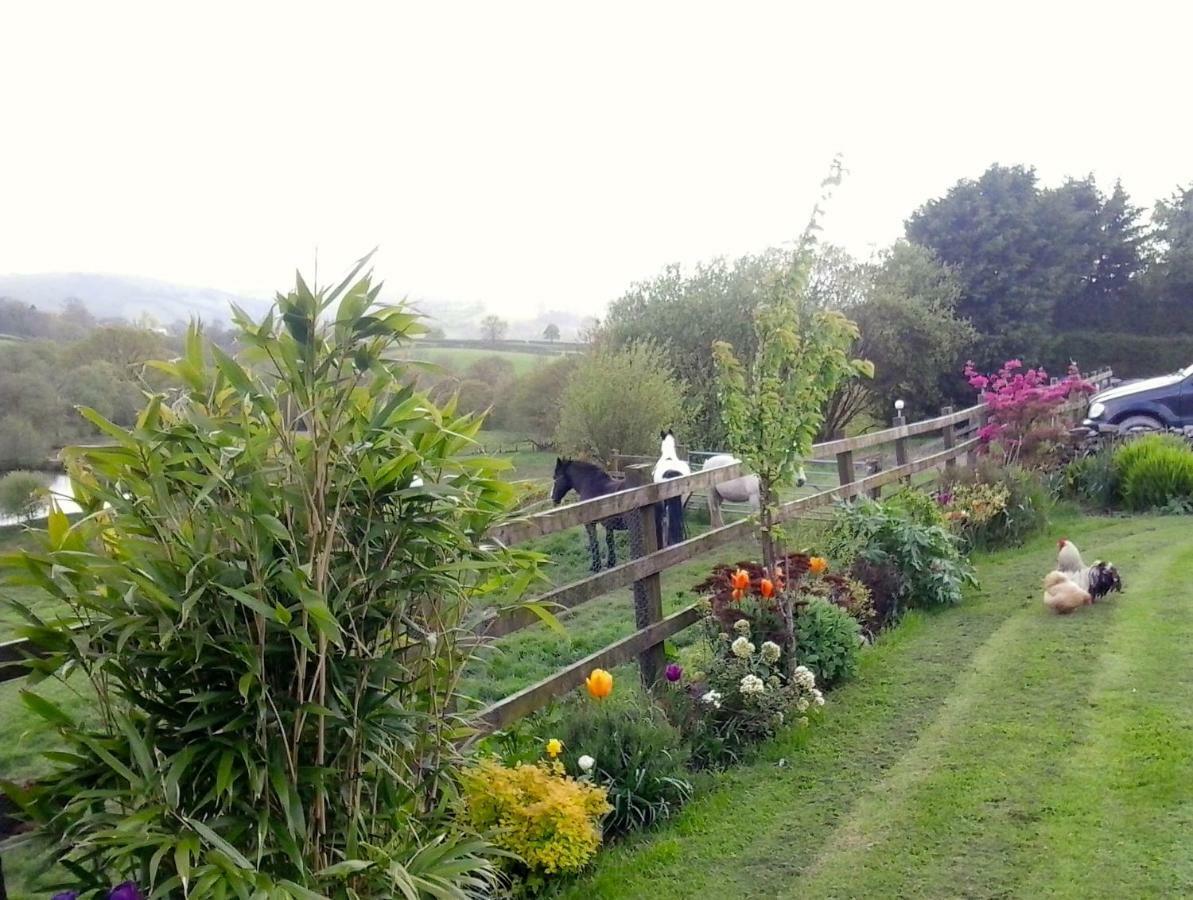 Five Saints Farmhouse B&B Pumpsaint Luaran gambar
