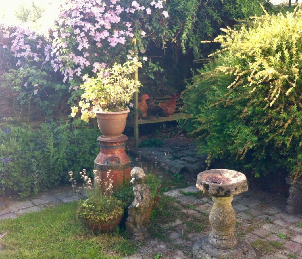 Five Saints Farmhouse B&B Pumpsaint Luaran gambar
